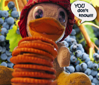Haroldt-YouDontKnow-200x171.jpg