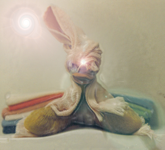 HaroldtSwamiDuck.jpg